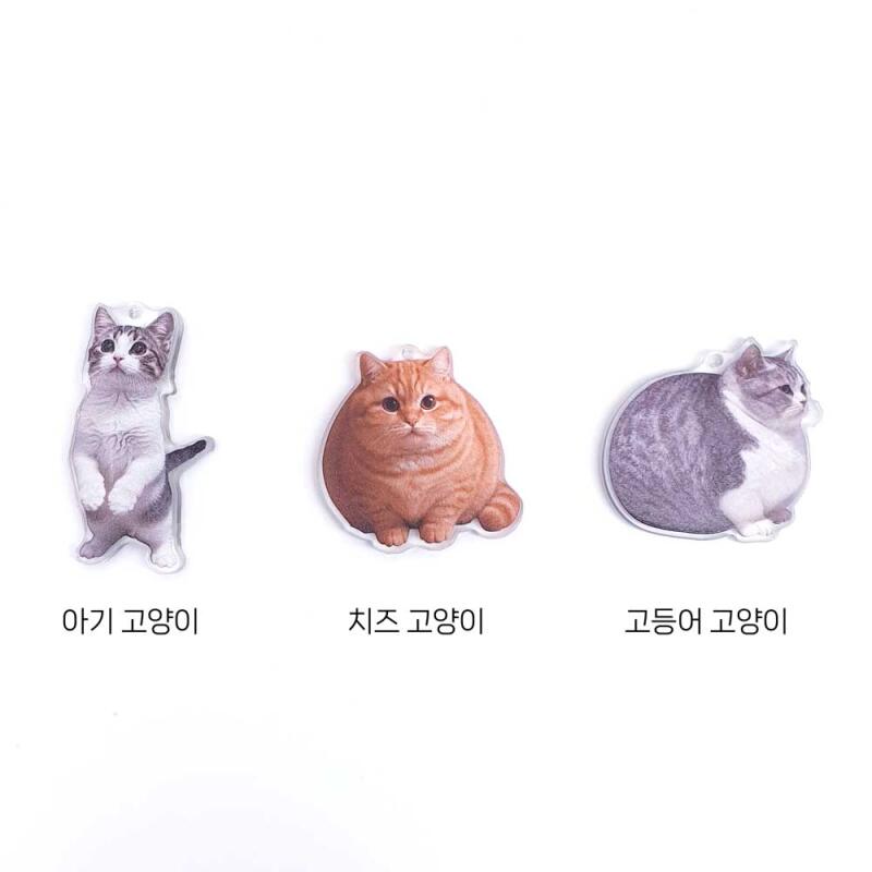 Acrylic Animal Fat Cat Keychain Accessory Supplies