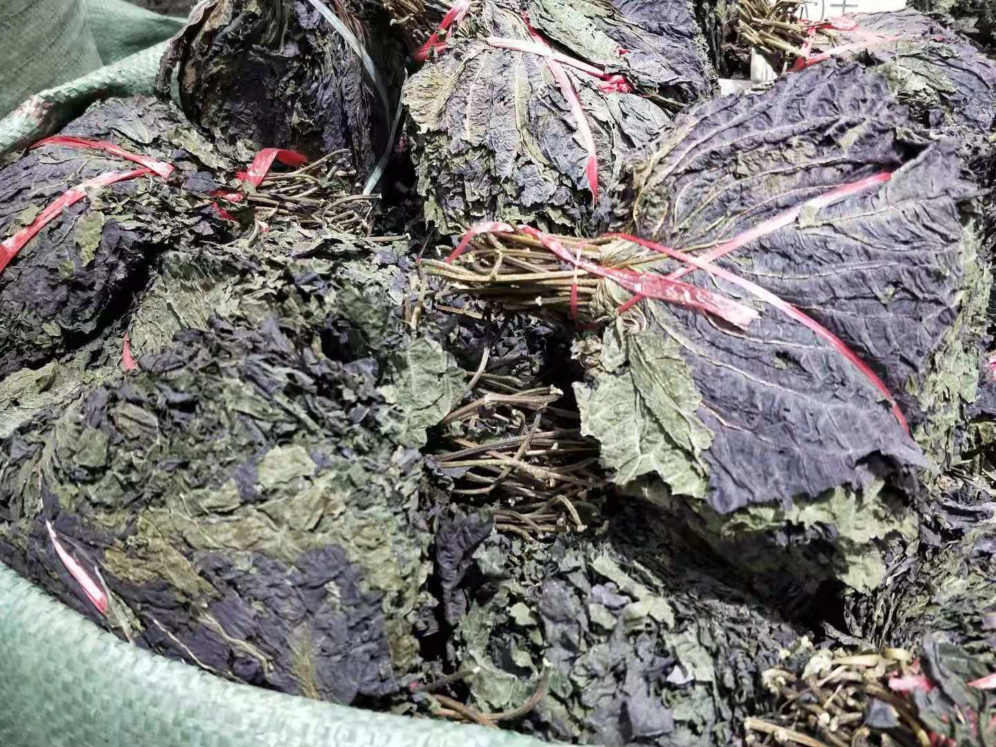 Фитотерапия из листьев периллы Лист периллы Лист периллы Перилла 500 г/1 — фото 9