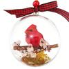 Nature's Birds Ball Ornament 3D Animal Clear Plastic Ball Decoration Christmas Tree Memorial Gift for Bird Lovers