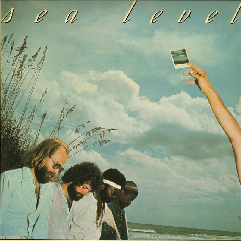 

LP Record SEA LEVEL - Sea Level CP0178 CAPRICORN 1977 US Rock Used