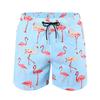 Men's Board Shorts Swim Shorts Swim Trunks Summer Shorts