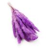 Mini Pampas Grass - Purple