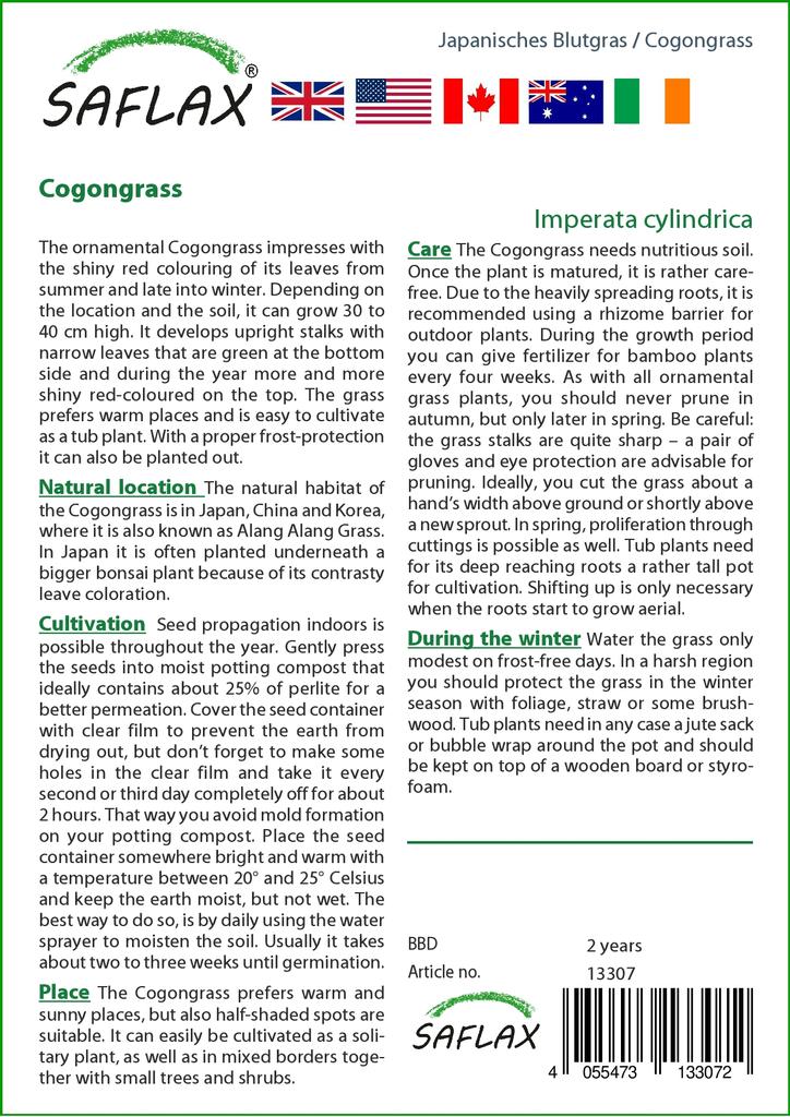 SAFLAX Garden in the Bag - Cogongrass - 50 semen - Se substrátem v padnoucím sáčku - Imperata cylindrica