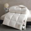 Hetang Impression All-Season Goose Feather & Down Blend Quilt