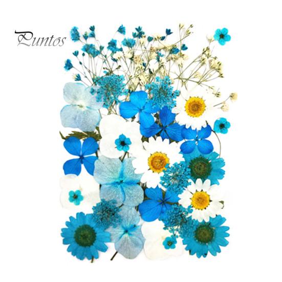 DIY Harz Kunst Blumen-Set 1 Set Getrocknete Gepresste Blumen Bunte Natürliche Bastelbedarf Kerzenherstellung Schmuck Epoxidform Vase Nagelkarte Scrapbooking