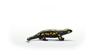 Schleich Wildlife Fire Salamander 14870