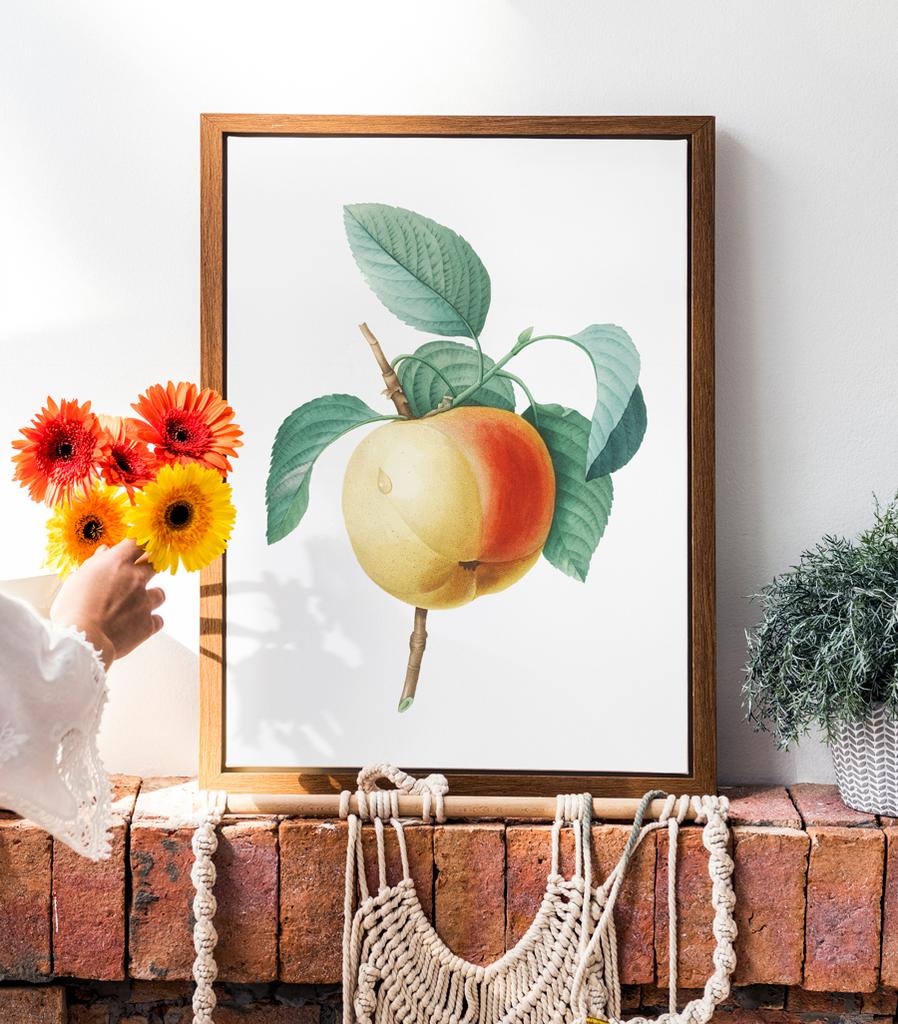 Vintage Apple Blossom Poster