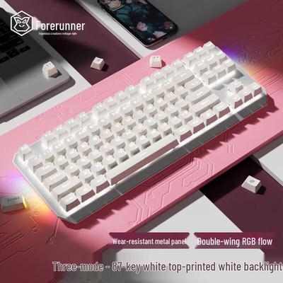 QianXingZhe TK870 87-Key Tri-Mode Mechanical Keyboard