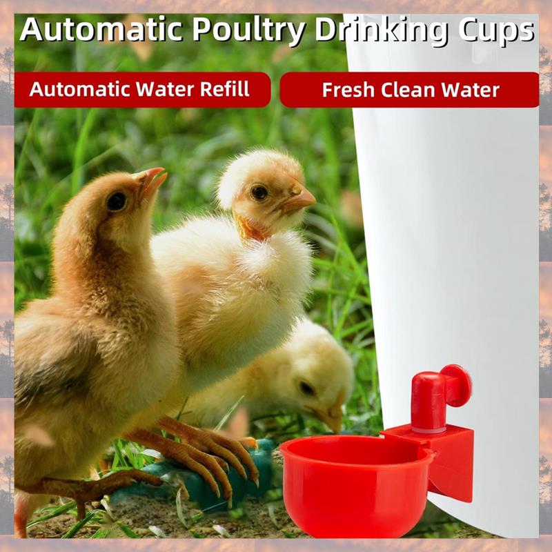2025 Trend Chicken Water Cups, Automatic Chicken Waterer Kit Poultry Drinking Bowl For Chicken