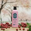 OLOF Vegan Shampoo 750ml + Body Wash 750ml Birch Natural Mildly Acidic Hypoallergenic for the Whole Family
