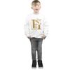 HARRY POTTER Hufflepuff Glitzer-Sweatshirt für Jungen