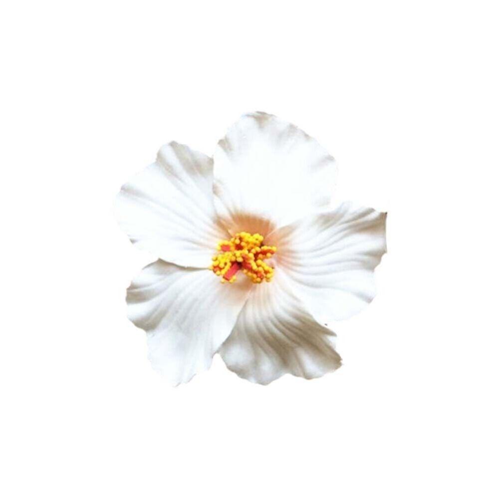 Headwear Hawaiian Flower Hair Clips Side Bangs Clip Hair Accessories BB Hair Clips Romantic Suitable Vacation Beach Parties