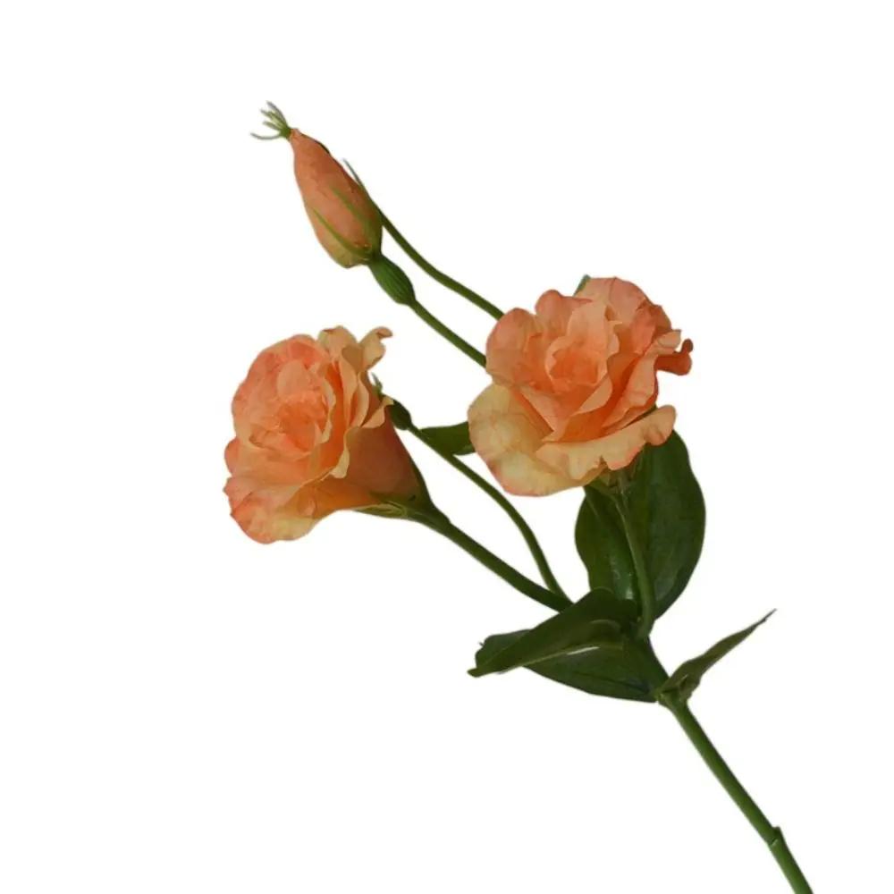 

Real Touch Artificial Lisianthus Flowers Lifelike Silk Flowers Fake Eustoma Flower Bridal Bouquet DIY Artificial Bouquet