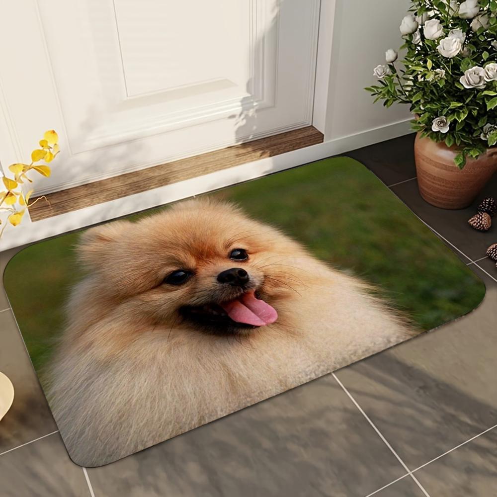 1pc Cute Pomeranian Dogs Bathroom Absorbent Mats Anti-Slip Mats Home Decor Supplies Carpets Home Kitchen Floor Mats