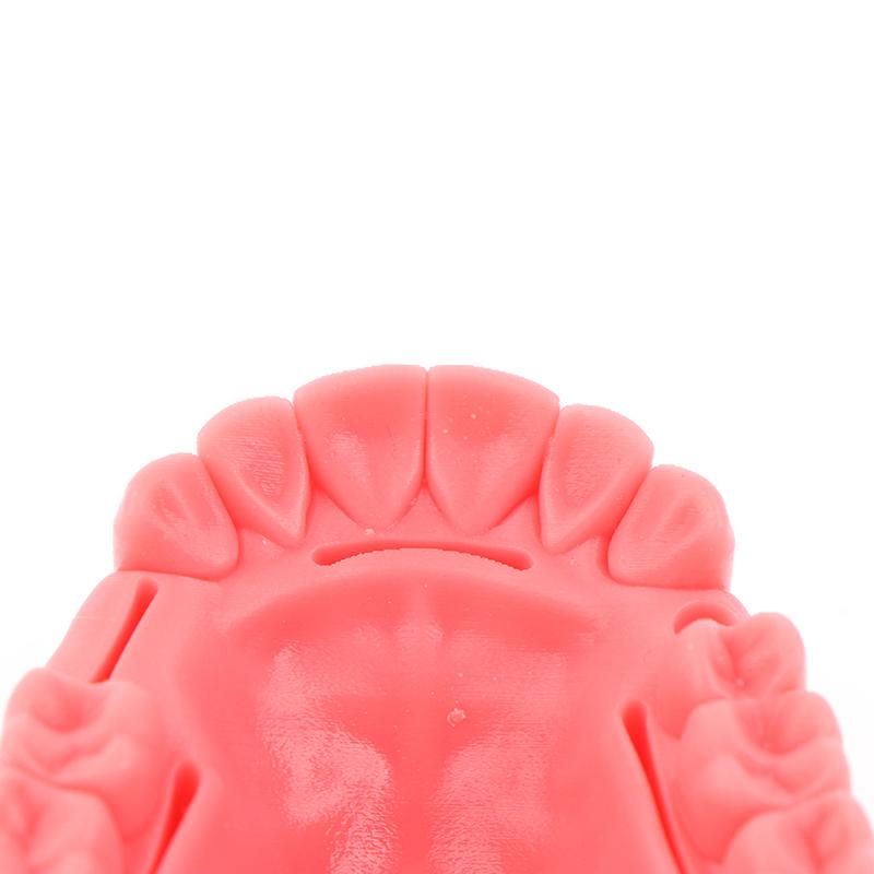 Teeth Gum Combination Model Silicone Material Training Suture Module