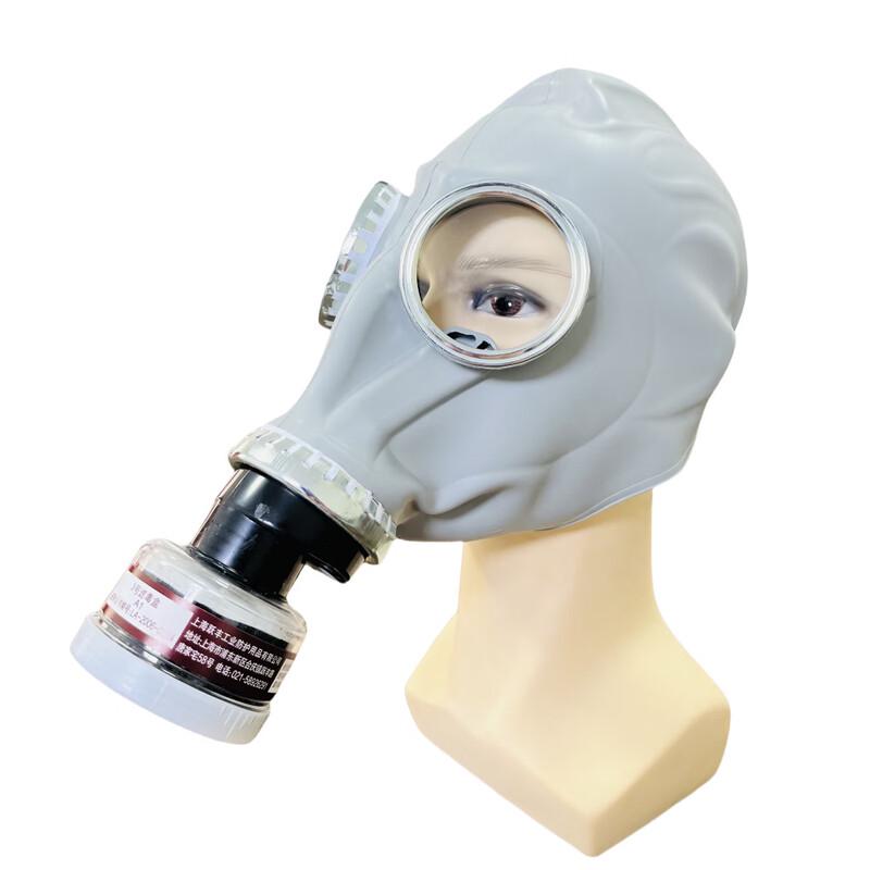 DAXTE Full Face Respirator Mask
