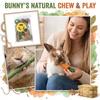 Pacote com 14 Brinquedos de Mastigar para Animais Pequenos, Brinquedos Naturais para Dentição de Porquinho-da-Índia Hamster com Cenoura, Milho, Luffa, Palitos de Capim-Timothy e Pirulitos de Flor