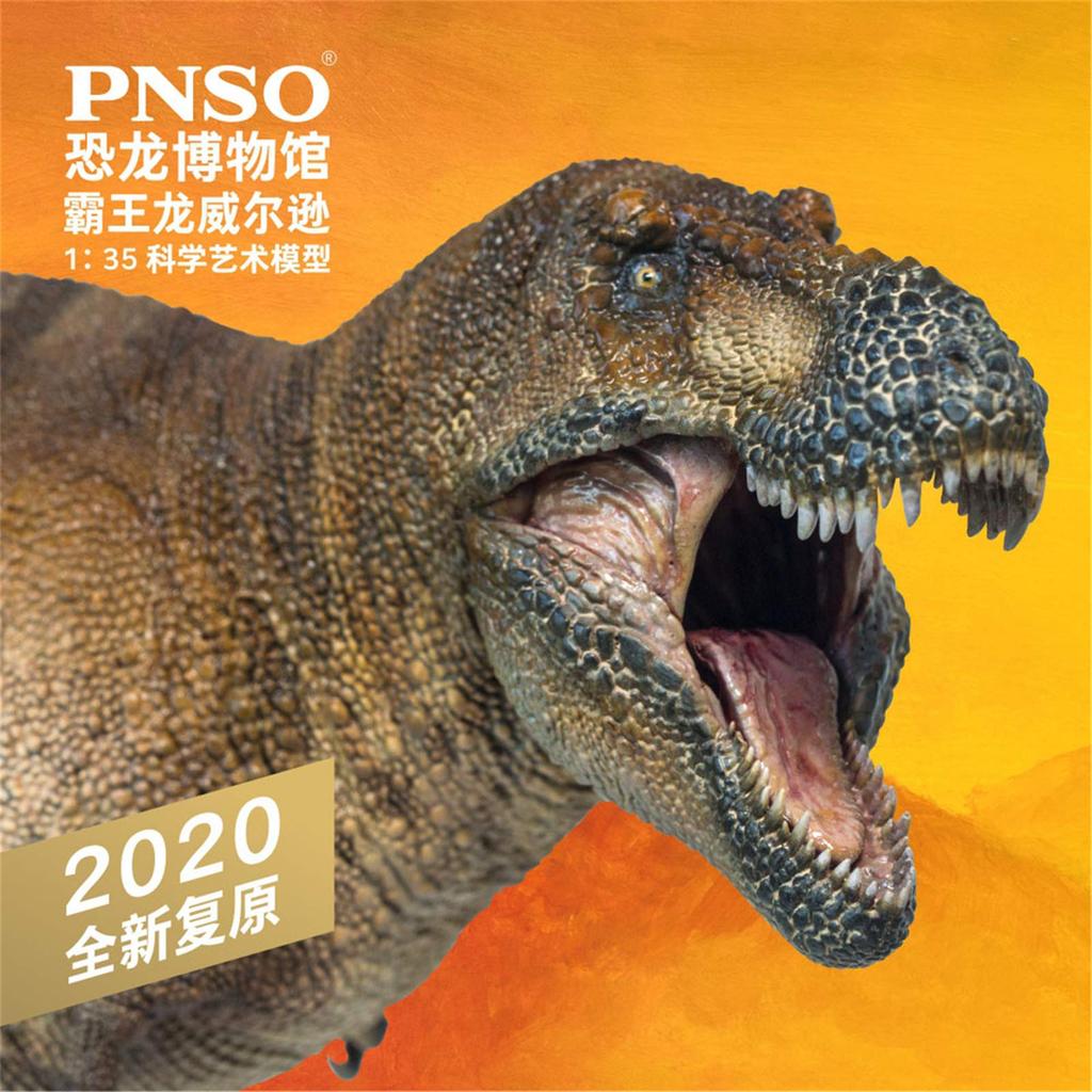 PNSO Dinosaur Museum 135 Scale Tyrannosaurus Rex Realistic Figure PVC Plastic Model Toy Dinosaur Lover Birthday Gift Original Science Art Painted