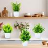 Dekorativní sada 4 ks umělých rostlin v květináčích pro vnitřní i venkovní použití