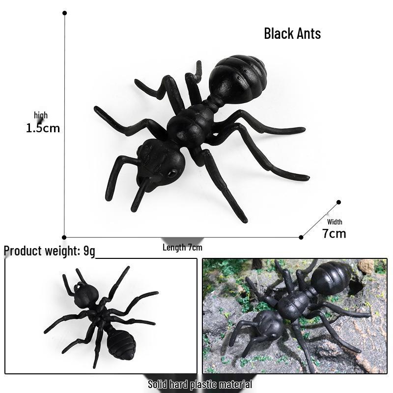 Children s Educational Butterfly Life Cycle Toy Set
