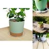 Plastic Flower Pot Tray With Pet Material And Dustproof Design For Garden And Home Use