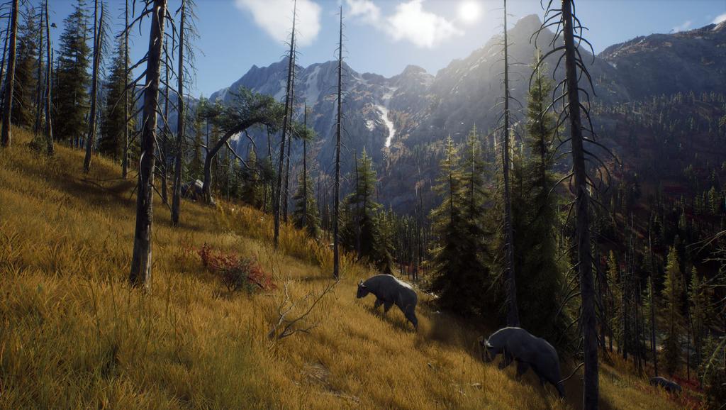 Way of the Hunter North PS5 (Import America) -