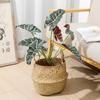 Style Artificial Alocasia Odora Leaf Plant With Handcrafted Basket For Home Decor