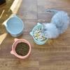 Elevated Tilted Cat Bowl, Raised Cat Ear Food Water Feeder, Neck Protection Pet Dish, Non-Slip High Foot Bowl