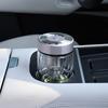 Wanxiang V393L Double-Layer Borosilicate Glass Tea Infuser Bottle