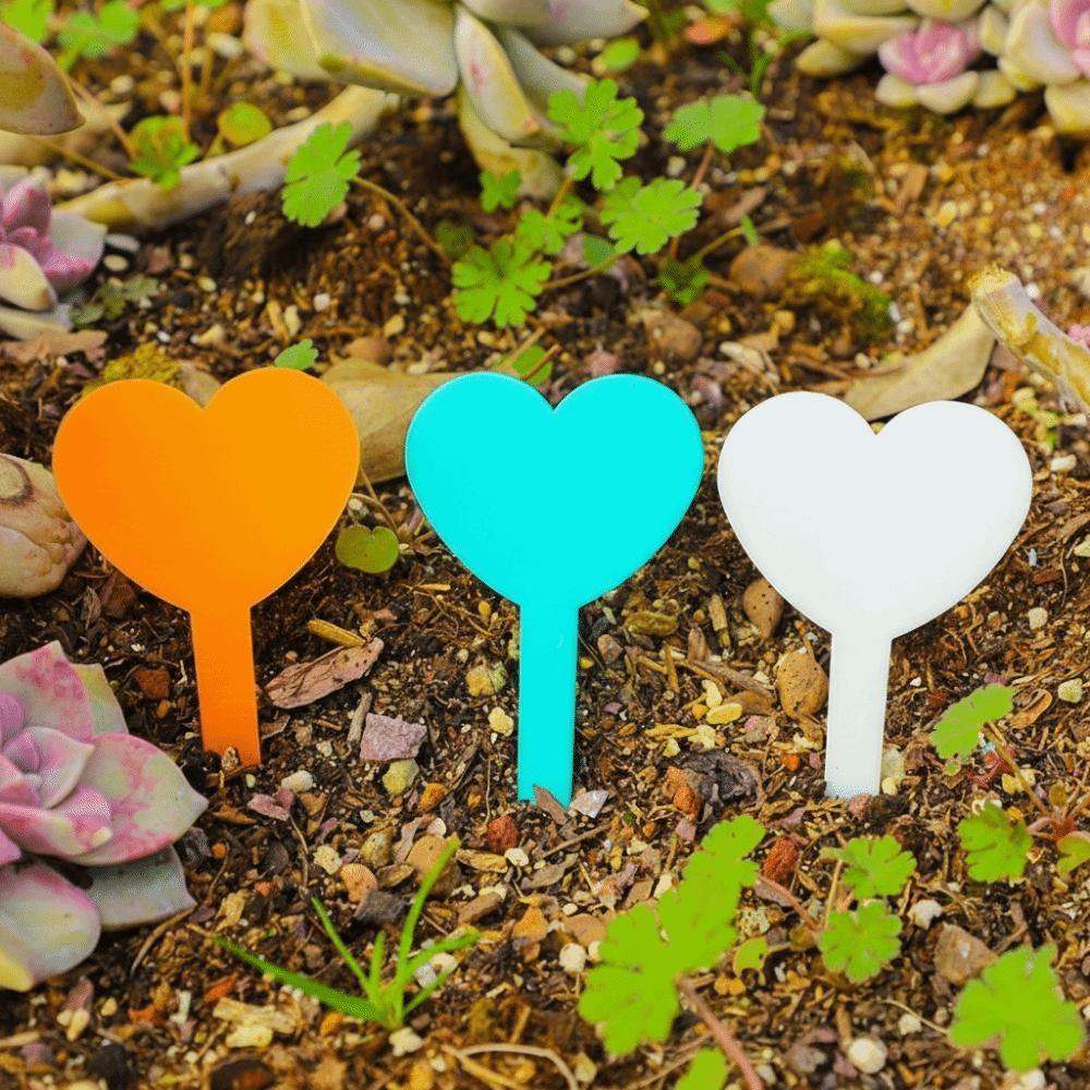 100PCS Waterproof Plant Growth Label Heart Shaped Succulent Signage  Succulents Identification
