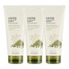 Herb Day 365 Master Blending Facial Cleansing Foam Mung Bean, 170ml, 3 Pcs