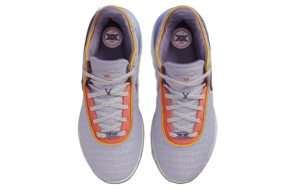Nike LeBron 20 EP "Purple And Gold" DJ5422-500