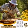 1 Stück Wachskönigin Pfropfbecher Silikonform 20 Löcher Manuelle Imkerei Bienenwachs Königinnenzellenbecher Herstellungsform Imkereiwerkzeug