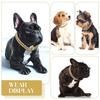 25Cm Bling Necklace Gold-Plated Cuban Chain Pet Collar For Cat Dog