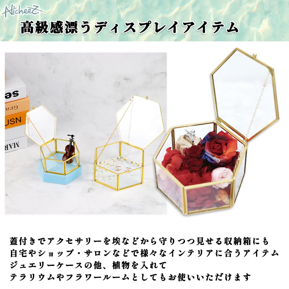 Nicheez Jewelry Accessory Box Case with Lid, Glass Gold Hexagonal Ring Flower Room Terrarium (Large)