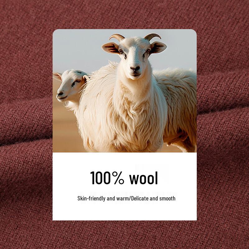 Caizi Men's Pullover Merino Wool Sweater