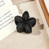 Milk Tea Color Sweet Egg Flower Hair Claw Combination Set, Small Frosted Holiday Style High-End Hair Accessories, Daily Wear, Comfortable And Light