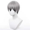 Short Anime Character Cosplay Perfect for Comic Market Cultural School and Other Includes Wig Gray/Black Wig, Accessory, Heat-Resistant Wig, Events,