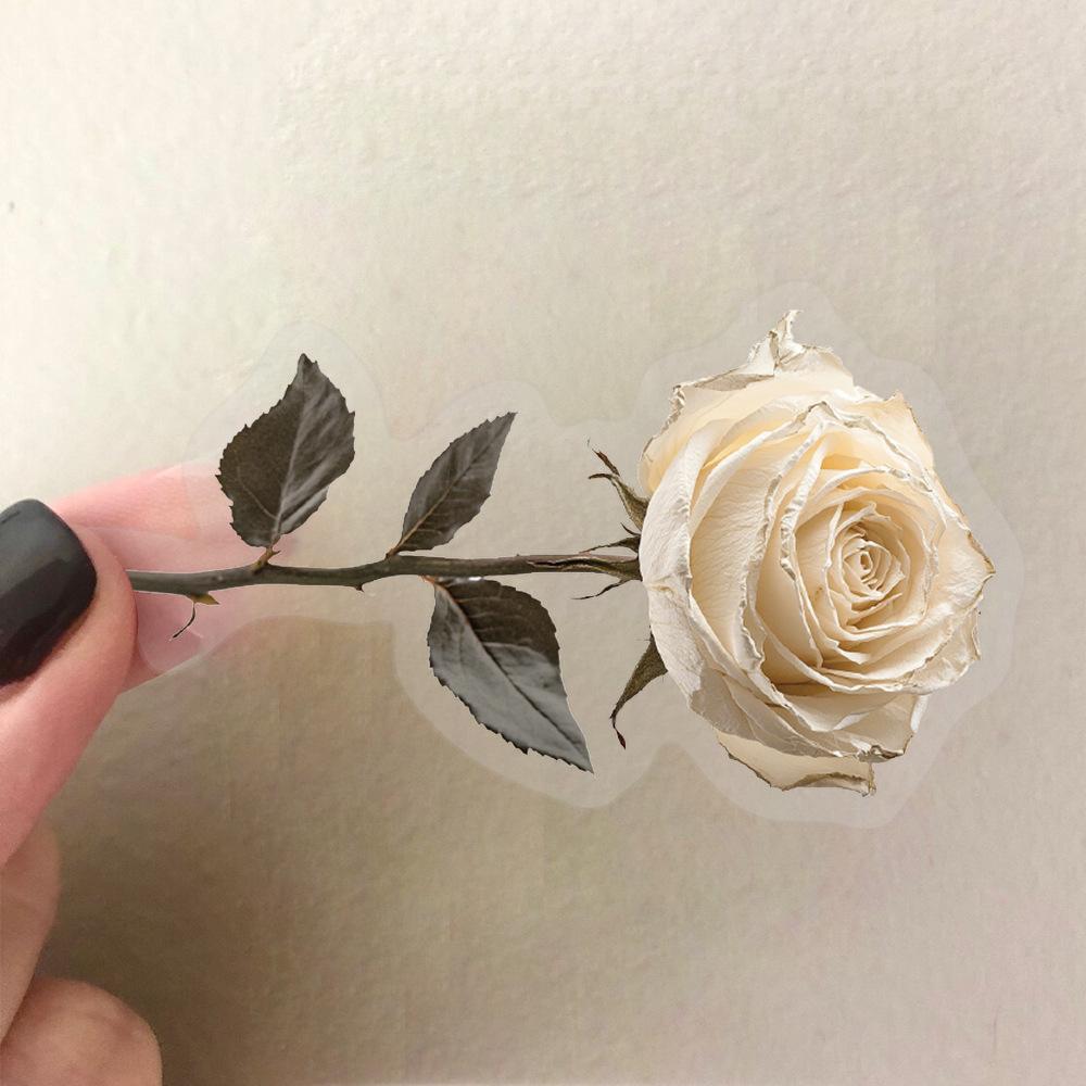50 Transparent Dry Flowers Sticker Pack Waterproof Transparent PET Manual Material Decorative Guitar Notebook