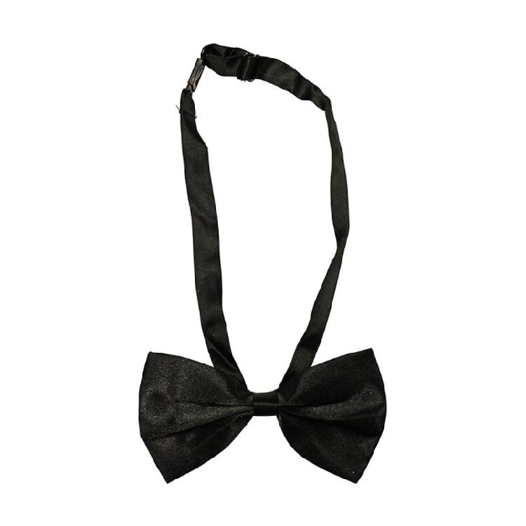 Lincolns Birthday Patriotic Costume Halloween Abrahams Lincolns Costume Accessories Include Top Hat with Beard Necktie