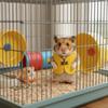 Breathable Hamster Jacket Retro Buckle Pet Apparel Cozy Hamster Vest  Four Seasons