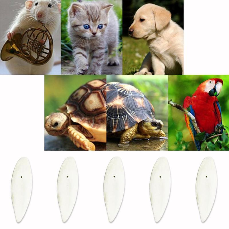 cuttlefish bone for dogs