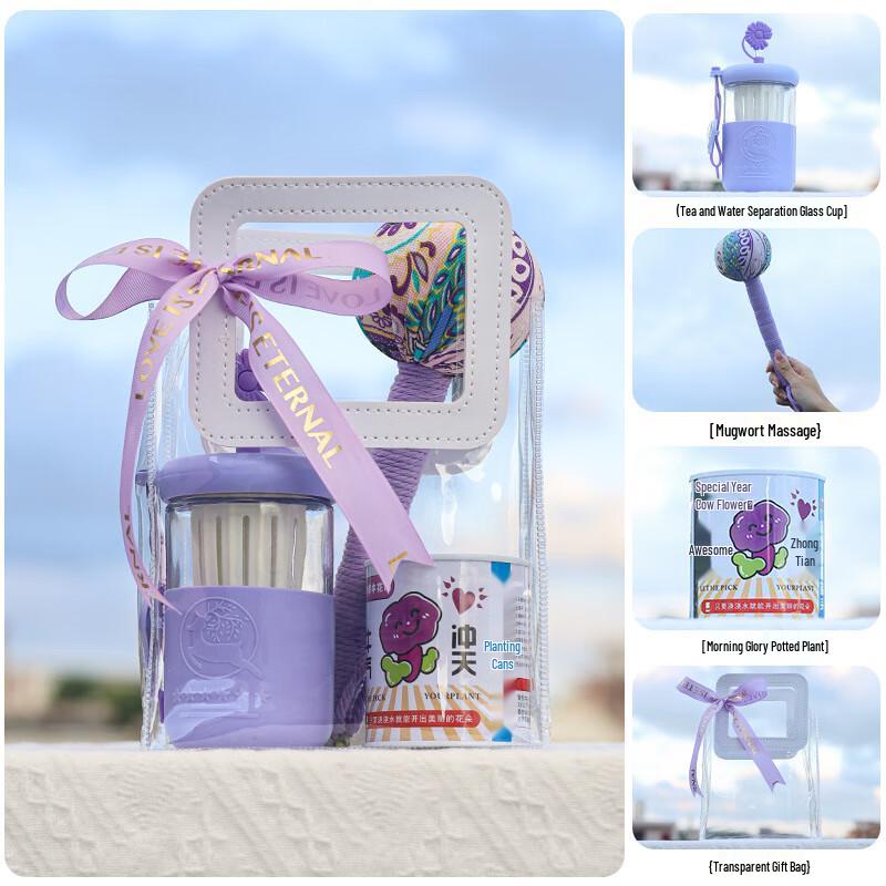 Tea Infuser Glass Cup Gift Set with Mugwort Hammer & Potted Plant Set 21