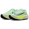 New Nike Zoom Fly 5 Mint Foam Ghost Green DM8968-300