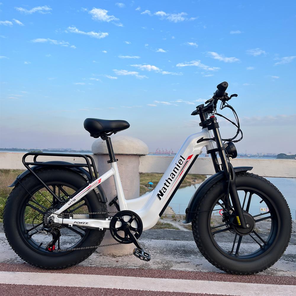 Nathaniel SYR08 Stadtelektrofahrrad, Doppelmotor 2000W, 20x4.0 integrierte Räder, 48V20AH, Schnee-/Sand-Outdoor-Fahrrad