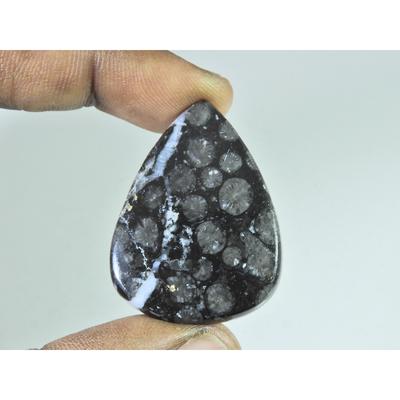 44Cts. Natural Black Fossil Coral Pear Cabochon Loose Gemstone 28X39X04 MM B-336