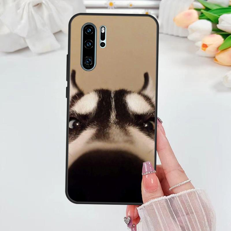 

Animal Husky puppy Case For Huawei Nova 11i 8i 7i 3i Y70 Y90 Y60 Y61 5T 9 10 SE P Smart Z P30 P40 Lite P60 Pro Huawei P50 Pro