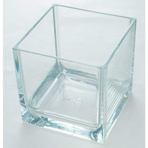 HAMMER GLASS Cube Vase, W8 x H8, Clear, Shatterproof Polycarbonate, 2300176