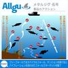 Allgu Metal Jig Gogo 20g Gurikin Zebra Glow Jigging Lure