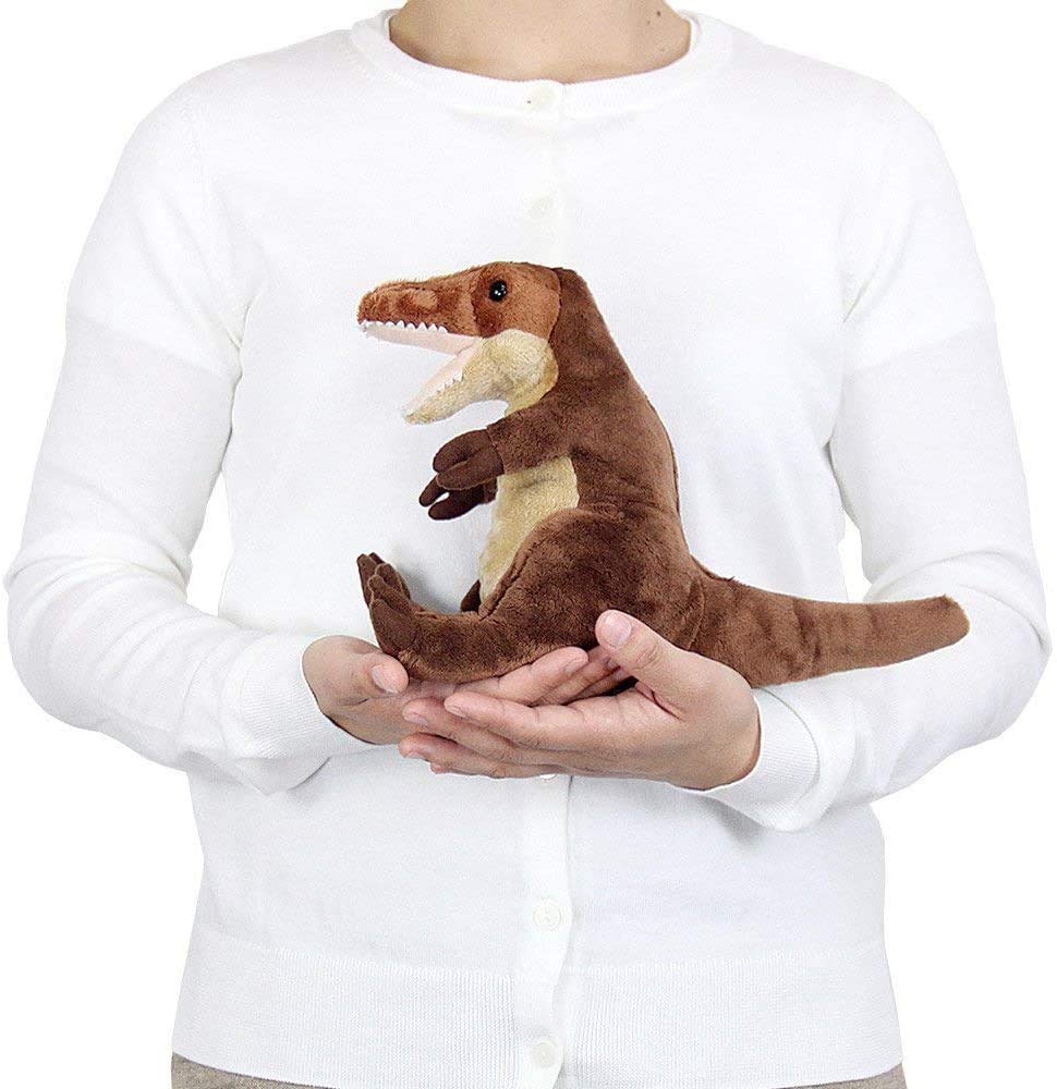 Carolata Tyrannosaurus Plush Toy (Small SizeSitting Series) Soft to the Touch, Realistic (Dinosaur Plush Toy) Doll MascotBirthday Gift Present